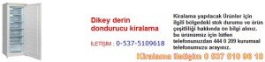 dikey derin dondurucu kiralama Resim No ; 34