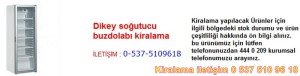 dikey soğutucu buzdolabı kiralama Resim No ; 35