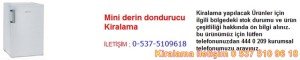 mini derin dondurucu kiralama Resim No ; 81
