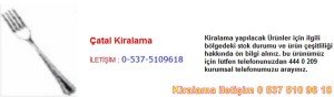 çatal kiralama Resim No ; 27